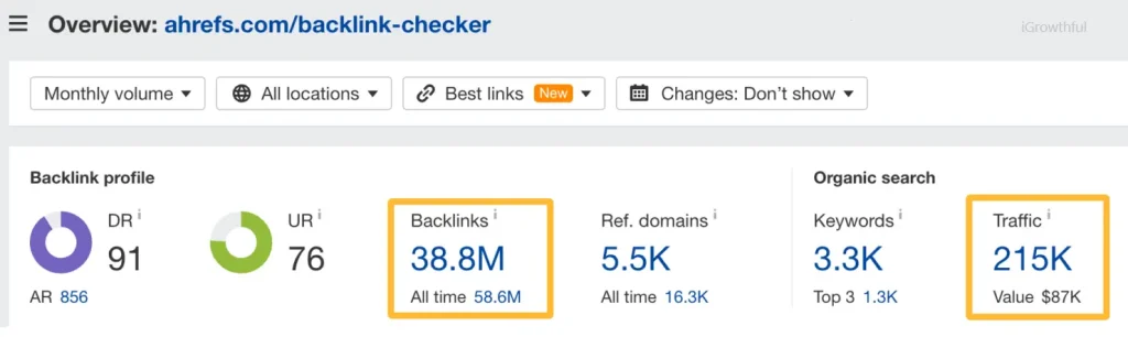 website visitors